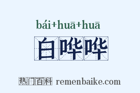 白哗哗是什么意思的图片